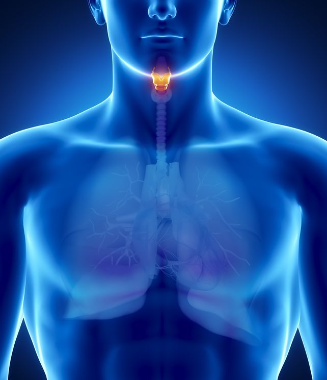 tumori tiroidei incidentali