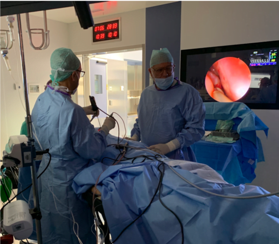 chirurgia endoscopica rinosinusale