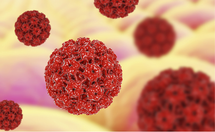 HPV Positività: prognosi migliore nei tumori orofaringe, ipofaringe, cavo orale e laringe
