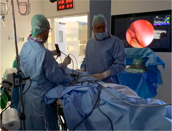 Chirurgia Endoscopica Rinosinusale Funzionale