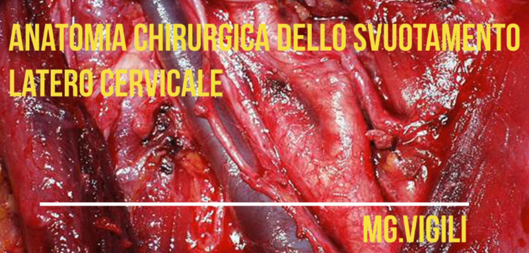 Anatomia chirurgica dello svuotamento cervicale