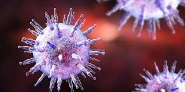 Carcinoma del Rinofaringe: incidenza dei virus EBV e HPV