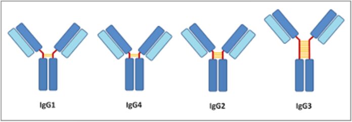 malattia da igg4 correlata