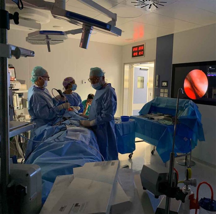 punti chiave per una fess sicura prof. m.g. vigili otorino roma