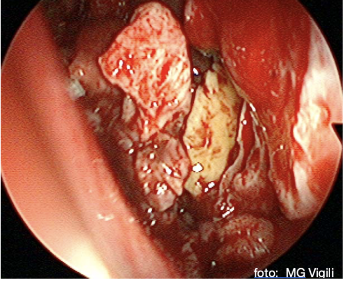 screenshot 2026 03 25 alle 16.52.00